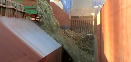 Com queda no consumo do etanol, usinas apostam no açúcar durante a pandemia