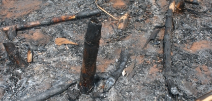 Campanha de Conscientização, Prevenção e Combate aos Incêndios de 2020 terá Indicativo das áreas mais suscetíveis aos incêndios em todo o Estado de São Paulo