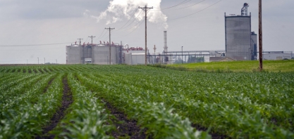 Sem OMC ativa, sem disposição política do Brasil e pouco impacto, subsídios dos EUA ao agro correm solto