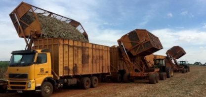 Em safra que pode ser mais curta, Paraná aumenta o etanol agora mas ao final voltará a ser açucareiro