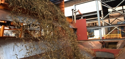 Moagem atinge 46,54 milhões de toneladas na primeira quinzena de julho