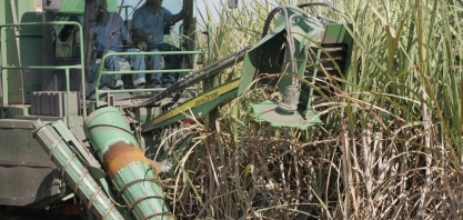 50,48 mi de toneladas moídas na segunda quinzena de julho