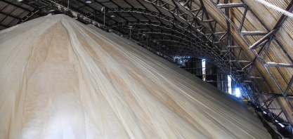 Safra: produção de açúcar ocupa 47,6% do mix