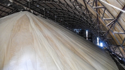 Safra: produção de açúcar ocupa 47,6% do mix