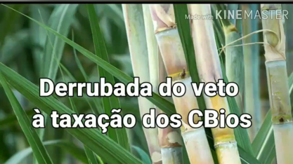 Setor comemora a derrubada do veto presidencial à alíquota especial de 15% sobre a receita com a emissão de CBios