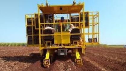 Plantio de Baixa Densidade de Gemas e plantio noturno de cana são algumas novidades de Edilson Maia