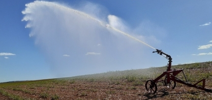 CRV Industrial faz irrigação de salvamento em seus canaviais
