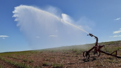 CRV Industrial faz irrigação de salvamento em seus canaviais