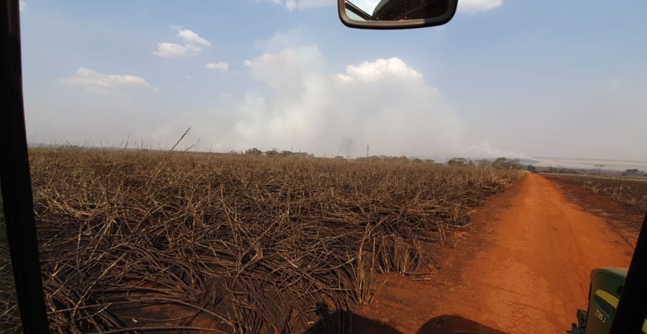 O fogo atingiu canaviais que ainda serão cortados. Crédito: Sérgio Quassi de Castro