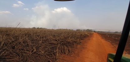Incêndio atinge canavial da AgroQuatroS, um dos exemplos de produção sustentável do setor