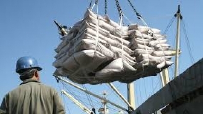 Boletim CNA destaca alta nas exportações de açúcar e frutas e auxílio emergencial para agricultores familiares