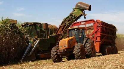 Produção de açúcar aumenta 54% em MG até agosto
