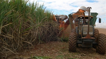 Fornecedores de produtos e serviços visam a cana de três dígitos
