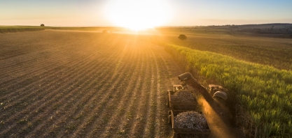 “Biosev apresenta uma virada operacional e venda da empresa para a Raízen é boato”, diz CEO da Biosev