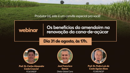 A vantagem econômica do amendoim na rotação com cana