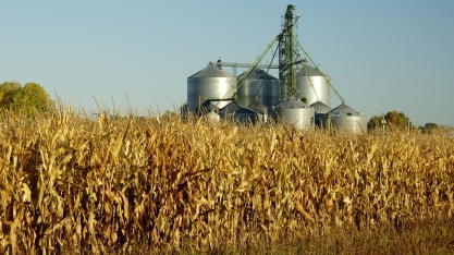 Produção de etanol dos EUA avança 0,88% na semana, para 926 mil barris/dia