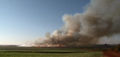 Queima de plantações de cana volta a ser permitida no Paraná