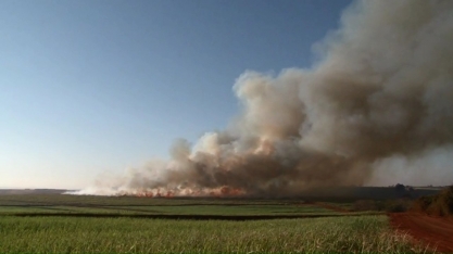 Queima de plantações de cana volta a ser permitida no Paraná
