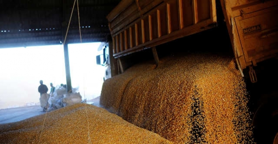 O volume transportado pela Rumo no trimestre foi 13,9% acima no comparativo anual (Imagem: REUTERS/Nacho Doce)