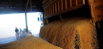 Safra recorde de soja turbina lucro da Rumo no 2º tri