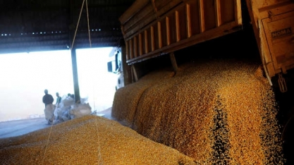 Safra recorde de soja turbina lucro da Rumo no 2º tri