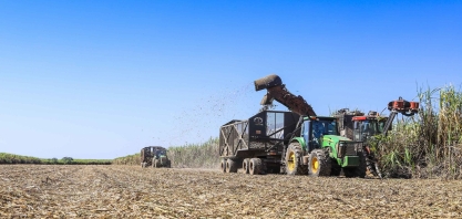 UISA cria solução de IA para registro de horas de trabalho no campo para 3 mil colaboradores