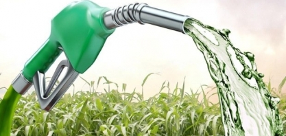 Pesquisadores da UFPB criam combustível verde a partir da palha da cana-de-açúcar