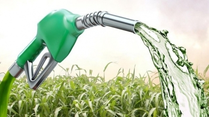 Pesquisadores da UFPB criam combustível verde a partir da palha da cana-de-açúcar