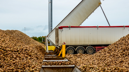 Tereos vê atividade na UE quase de volta ao normal após impacto do coronavírus