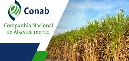 Mesmo com recorde na fabricação de açúcar, produção de cana ficará estável na safra 2020/21, diz Conab