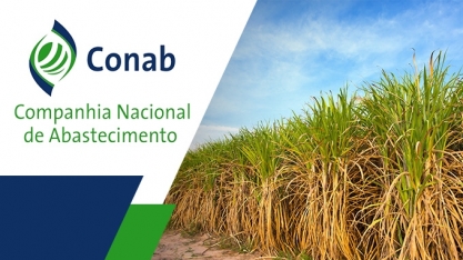 Mesmo com recorde na fabricação de açúcar, produção de cana ficará estável na safra 2020/21, diz Conab