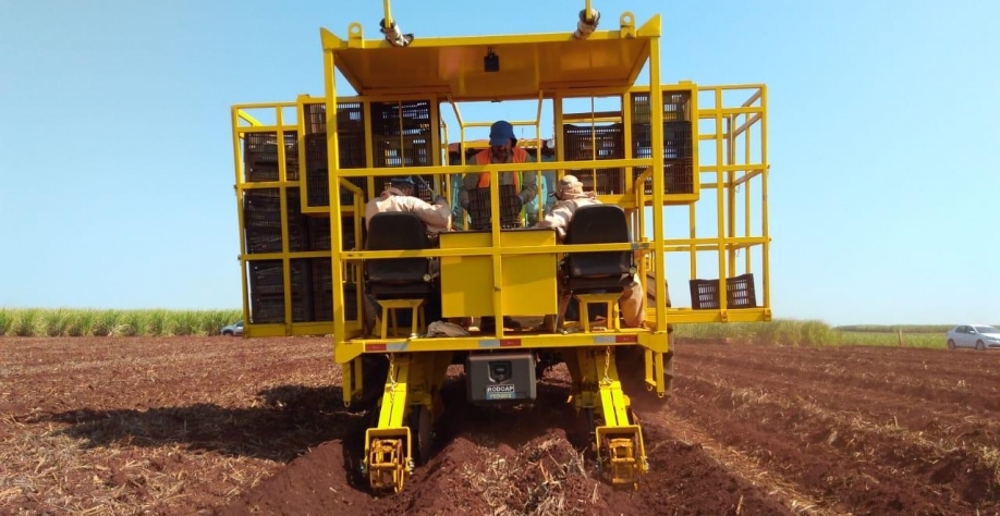 A plantadora de cana PBDG pode ser produzida para plantio de duas a seis linhas de cana, atendendo do pequeno produtor aos grandes grupos sucroenergéticos
