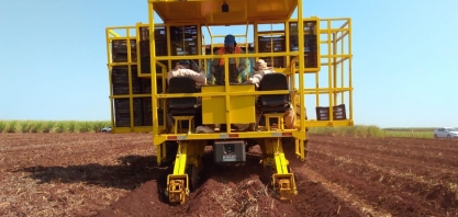 Plantio de Baixa Densidade de Gemas e plantio noturno de cana são algumas novidades introduzidas pelo produtor Edilson Maia