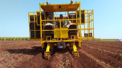 Plantio de Baixa Densidade de Gemas e plantio noturno de cana são algumas novidades introduzidas pelo produtor Edilson Maia