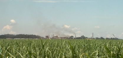 Grupos projetam concreto com bagaço de cana e tecnologia contra incêndio no campo em desafio de inovação