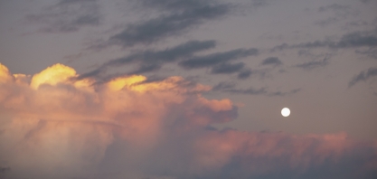 Cetesb promove debate sobre retomada verde em São Paulo