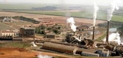 Fabio Venturelli, do grupo São Martinho: trajetória corrigida