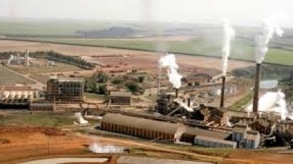 Fabio Venturelli, do grupo São Martinho: trajetória corrigida