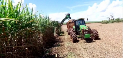Agricultor acelera colheita da cana no interior de SP e vê boa demanda pelo produto