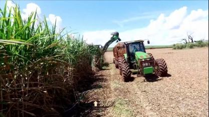 Agricultor acelera colheita da cana no interior de SP e vê boa demanda pelo produto