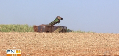 Região de Presidente Prudente registra aumento na safra de cana-de-açúcar