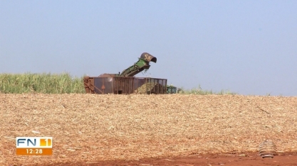 Região de Presidente Prudente registra aumento na safra de cana-de-açúcar