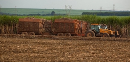 Seca ameaça expectativa de supersafra de açúcar no Brasil