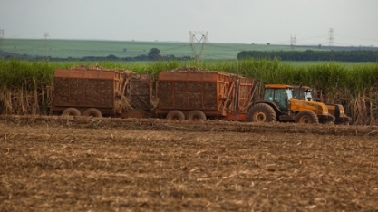 Seca ameaça expectativa de supersafra de açúcar no Brasil