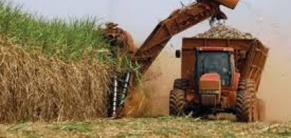 Produção de açúcar no centro-sul deve ter recorde de 37,3 mi t em 20/21, diz StoneX