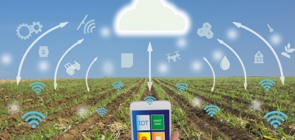 Pesquisa mostra o retrato da agricultura digital brasileira