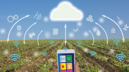 Pesquisa mostra o retrato da agricultura digital brasileira