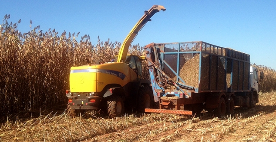 Foto: Rafael Parrella