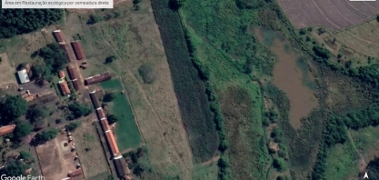 Técnicos das Secretarias de Agricultura e Abastecimento e de Infraestrutura e Meio Ambiente serão capacitados em tecnologias de restauração florestal