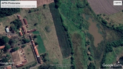 Técnicos das Secretarias de Agricultura e Abastecimento e de Infraestrutura e Meio Ambiente serão capacitados em tecnologias de restauração florestal